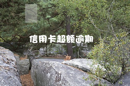 信用卡超额逾期 信用卡超额逾期