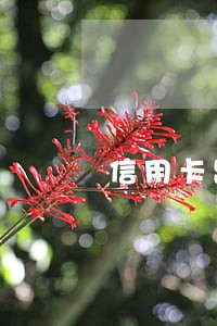 信用卡跟网贷都逾期了先还哪个 信用卡跟网贷都逾期了先还哪个