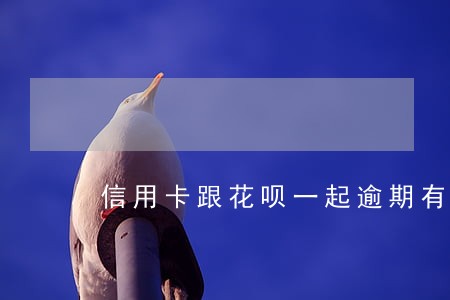 信用卡跟花呗一起逾期有什么区别