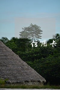 信用卡车贷逾期10天 信用卡车贷逾期10天