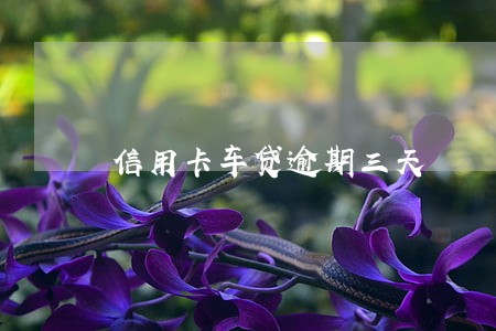 信用卡车贷逾期三天 信用卡车贷逾期三天