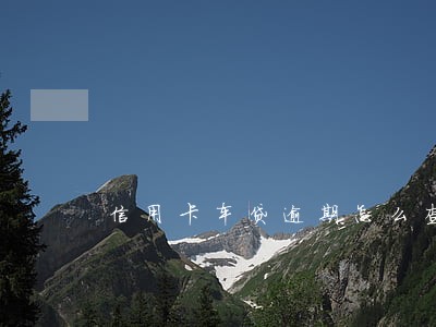 信用卡车贷逾期怎么查 信用卡车贷逾期怎么查