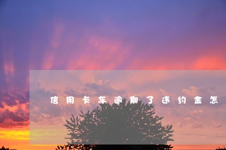信用卡车逾期了违约金怎么算 信用卡车逾期了违约金怎么算