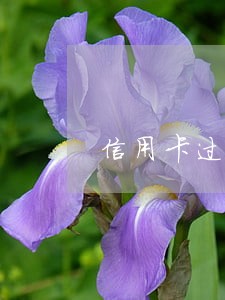 信用卡过12点就是逾期吗