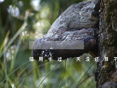 信用卡过1天没还算不算逾期 信用卡过1天没还算不算逾期