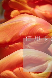 信用卡过了0点还算逾期吗