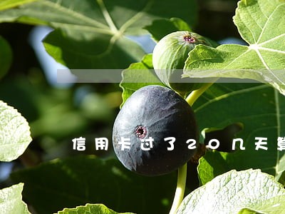 信用卡过了20几天算逾期吗