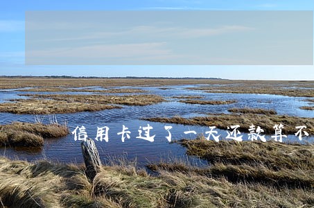 信用卡过了一天还款算不算逾期 信用卡过了一天还款算不算逾期