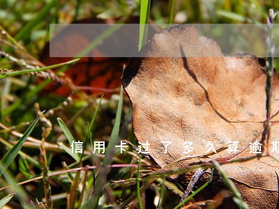 信用卡过了多久算逾期 信用卡过了多久算逾期