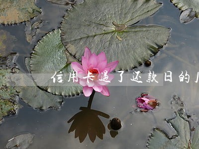 信用卡过了还款日的几点算逾期 信用卡过了还款日的几点算逾期