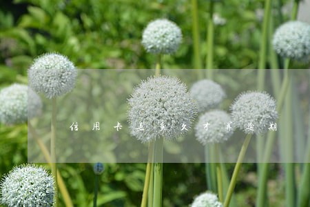 信用卡过多久才算逾期