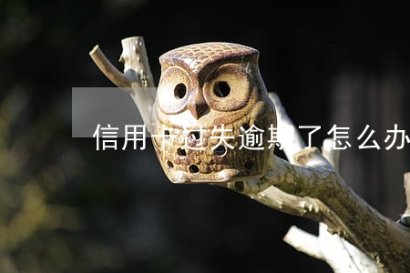 信用卡过失逾期了怎么办