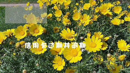 信用卡过期并逾期 信用卡过期并逾期