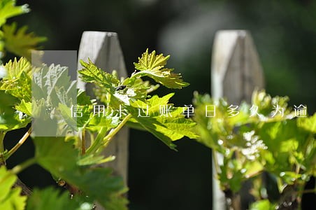 信用卡过账单日多久为逾期 信用卡过账单日多久为逾期