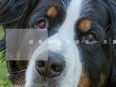 信用卡过还款日一天算逾期