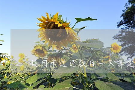 信用卡过还款日一天算逾期么