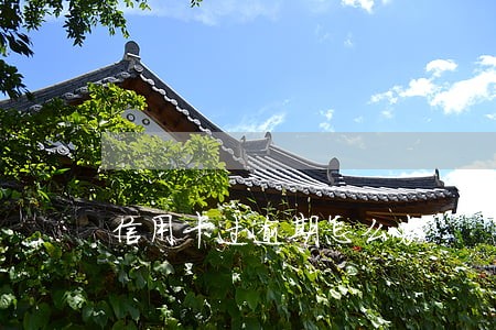 信用卡过逾期怎么办