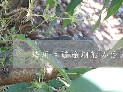 信用卡过逾期能办住房贷款吗 信用卡过逾期能办住房贷款吗