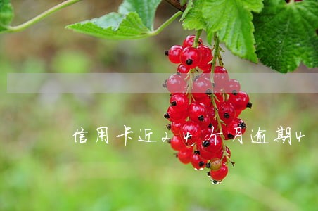 信用卡近24个月逾期4次 信用卡近24个月逾期4次