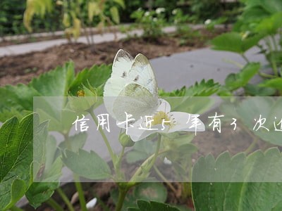 信用卡近5年有3次逾期 信用卡近5年有3次逾期