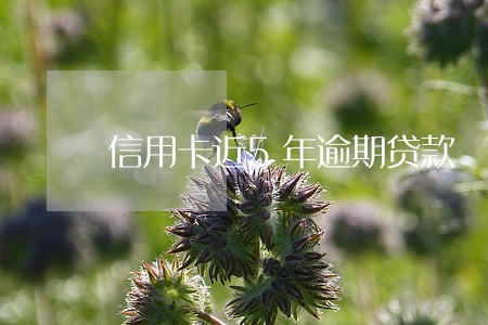 信用卡近5年逾期贷款