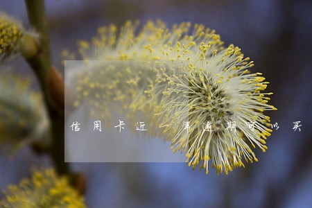 信用卡近一年逾期可以买房吗 信用卡近一年逾期可以买房吗