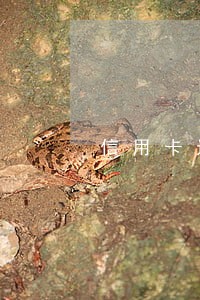 信用卡近两年无逾期之前有 信用卡近两年无逾期之前有