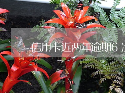 信用卡近两年逾期6次 信用卡近两年逾期6次