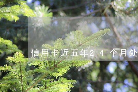 信用卡近五年24个月处于逾期