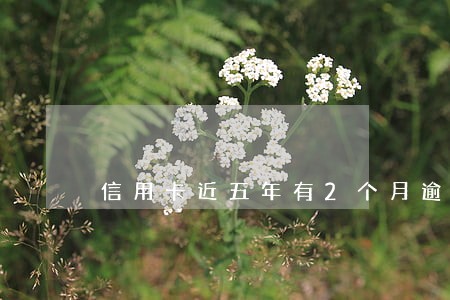 信用卡近五年有2个月逾期 信用卡近五年有2个月逾期