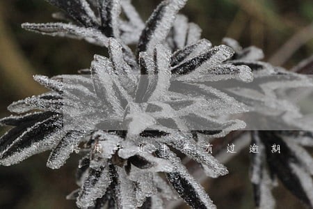 信用卡近半年有过逾期 信用卡近半年有过逾期