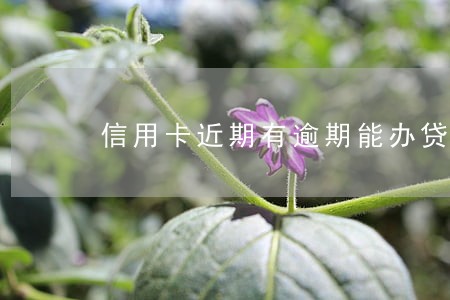 信用卡近期有逾期能办贷款吗 信用卡近期有逾期能办贷款吗