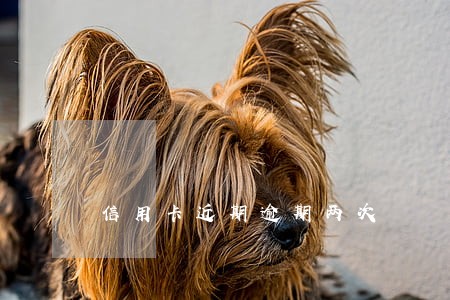信用卡近期逾期两次 信用卡近期逾期两次
