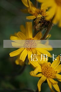 信用卡近期逾期怎么查 信用卡近期逾期怎么查