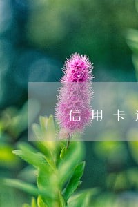 信用卡还一半另一半逾期 信用卡还一半另一半逾期