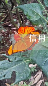信用卡还一点会逾期吗 信用卡还一点会逾期吗