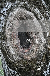 信用卡还上最低还款额算逾期 信用卡还上最低还款额算逾期