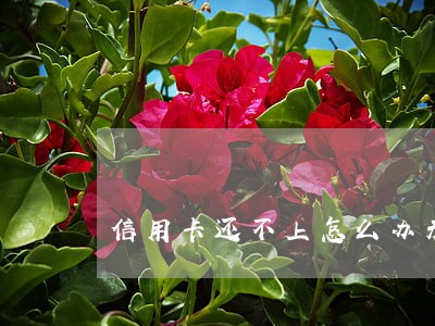 信用卡还不上怎么办未逾期 信用卡还不上怎么办未逾期