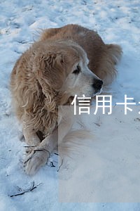 信用卡还不上是否有逾期