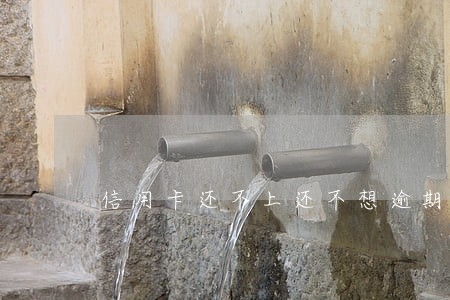信用卡还不上还不想逾期