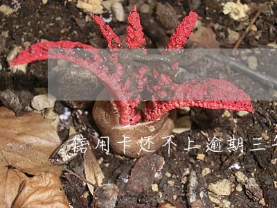 信用卡还不上逾期三年 信用卡还不上逾期三年