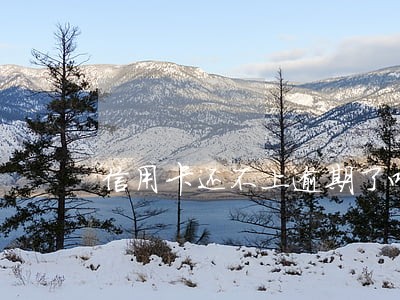 信用卡还不上逾期了咋办 信用卡还不上逾期了咋办