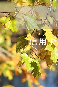 信用卡还不上逾期利息 信用卡还不上逾期利息