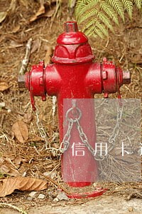 信用卡还不上逾期怎么办 信用卡还不上逾期怎么办
