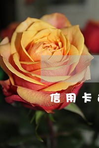 信用卡还不了逾期怎么办