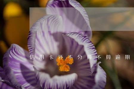 信用卡还不分算不算逾期 信用卡还不分算不算逾期