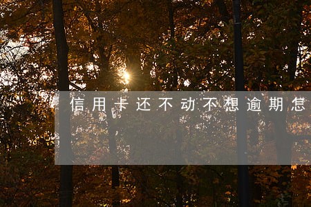 信用卡还不动不想逾期怎么办