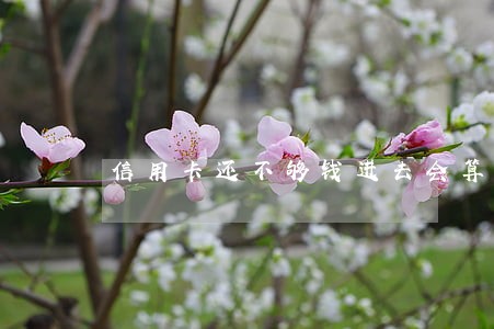 信用卡还不够钱进去会算逾期吗 信用卡还不够钱进去会算逾期吗
