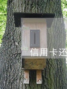 信用卡还不起法院开庭现在败诉了 信用卡还不起法院开庭现在败诉了