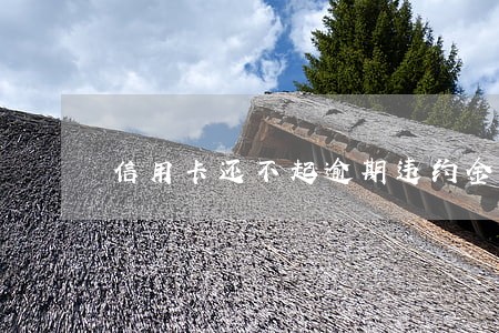 信用卡还不起逾期违约金怎么办